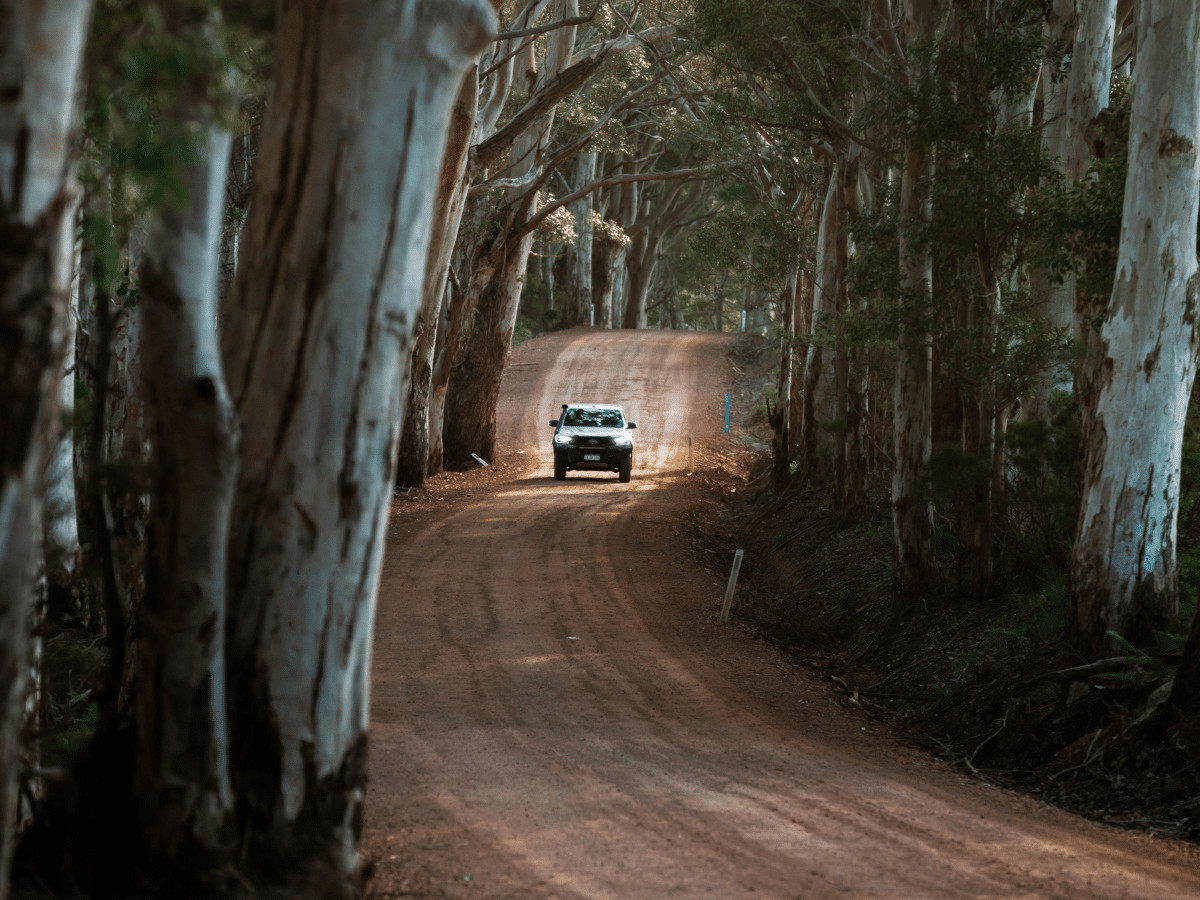 Chuẩn bị cho chuyến đi đầy hứng khởi cùng Toyota 4WD | Image: Toyota
