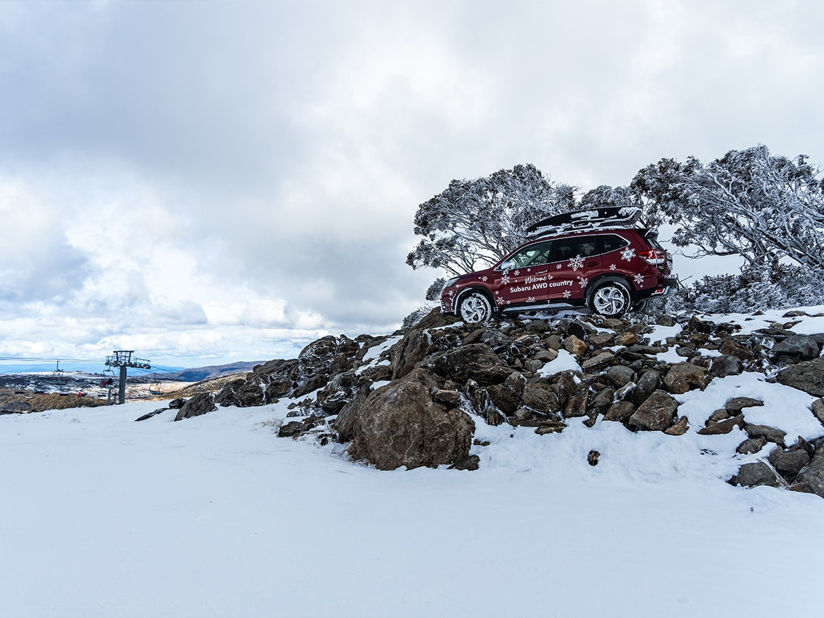 Subaru Forester băng qua khu vực núi cao tại Falls Creek