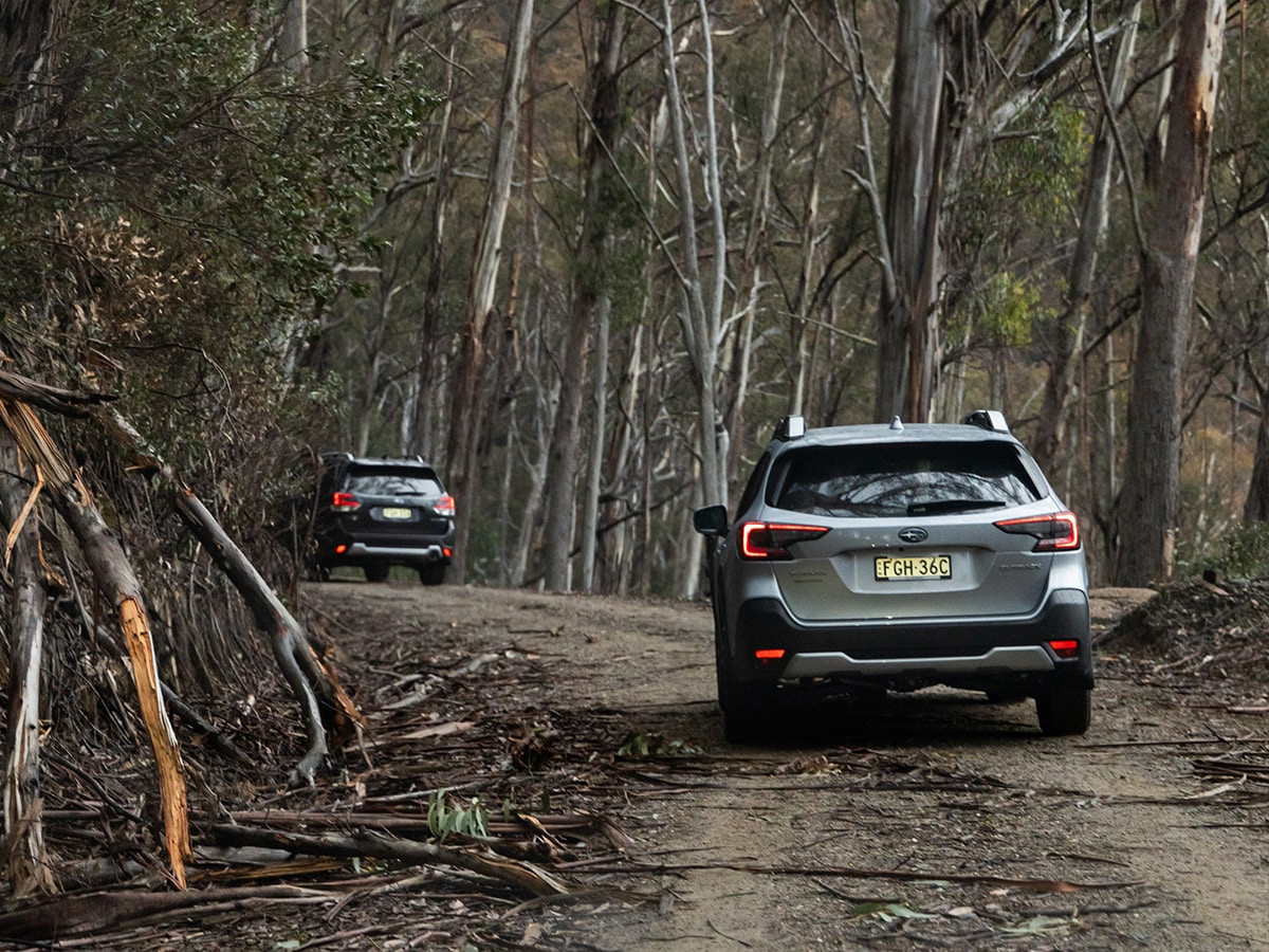 Subaru Outback trong khu rừng ẩm ướt tại Australia