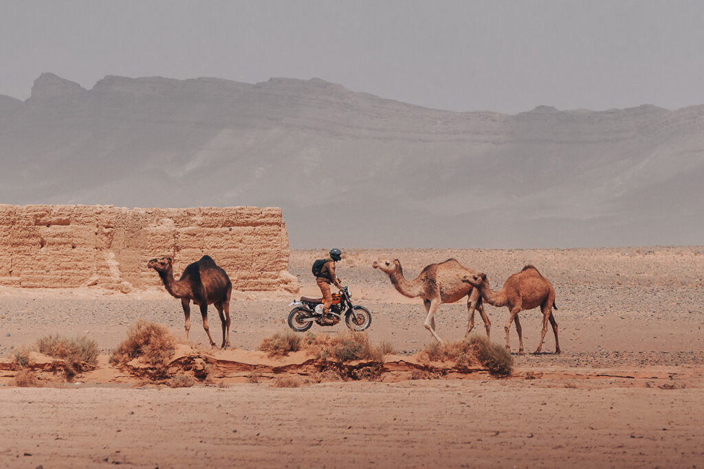 Tự do lên ngôi trên cung đường ở Scram Africa