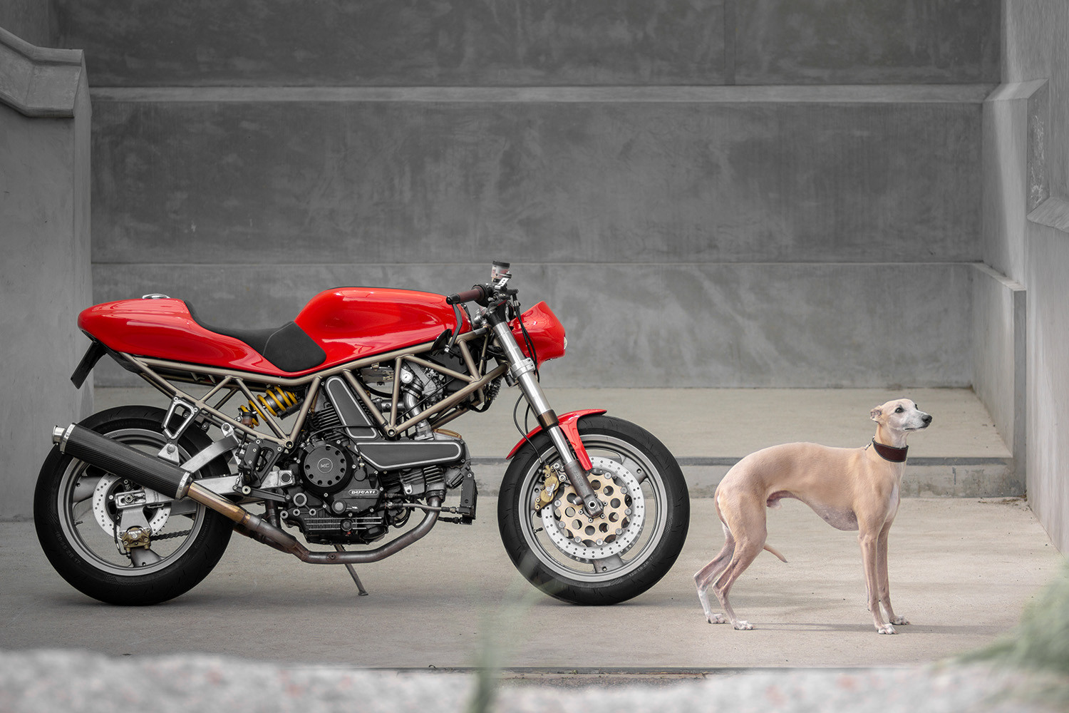Tác phẩm hoàn thiện của Ducati 900SS 'Ottolino'