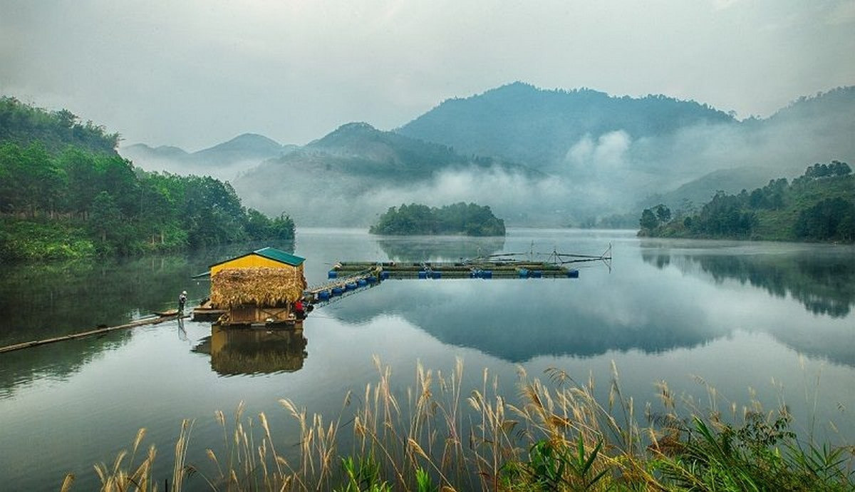 Alt: Rừng quốc gia Xuân Sơn