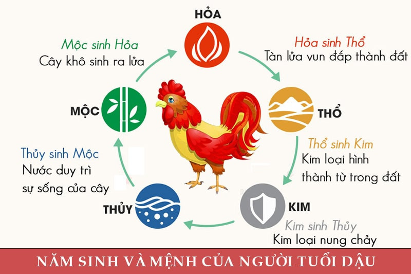 Mệnh Hỏa Hợp Màu Xe Ô Tô Gì?