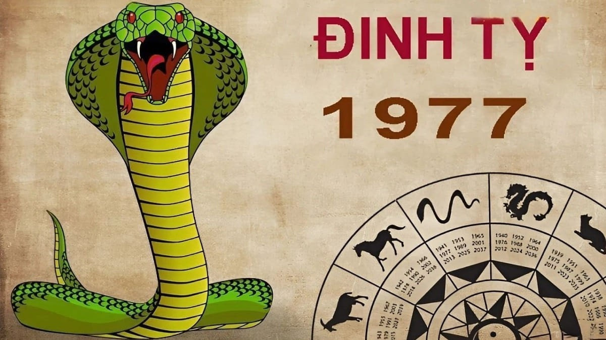 Alt text: Tử vi tuổi Đinh Tỵ 1977