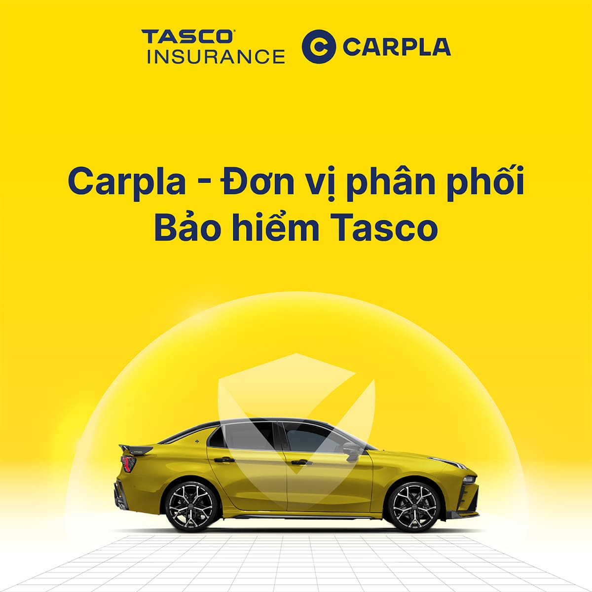 An tâm khi lái xe với bảo hiểm Tasco