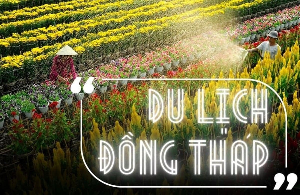 Bản đồ du lịch Đồng Tháp