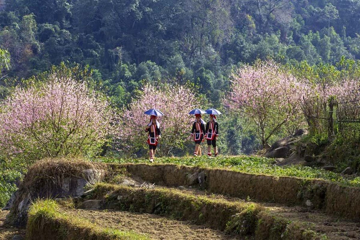 Bản Sông Moóc
