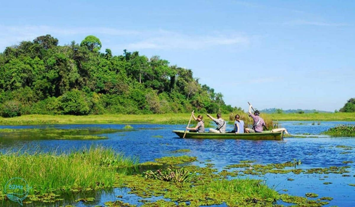 Bàu Sấu
