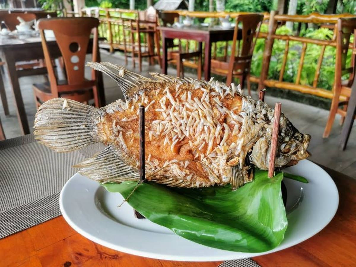 Cá tai tượng chiên xù đặc sản Vĩnh Long