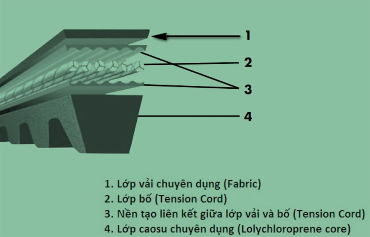 Cấu tạo dây curoa