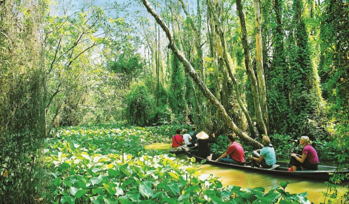 Chèo thuyền kayak trong rừng ngập mặn