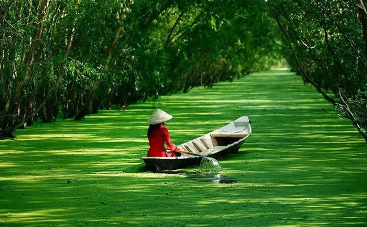 Chèo thuyền ở rừng tràm Trà Sư