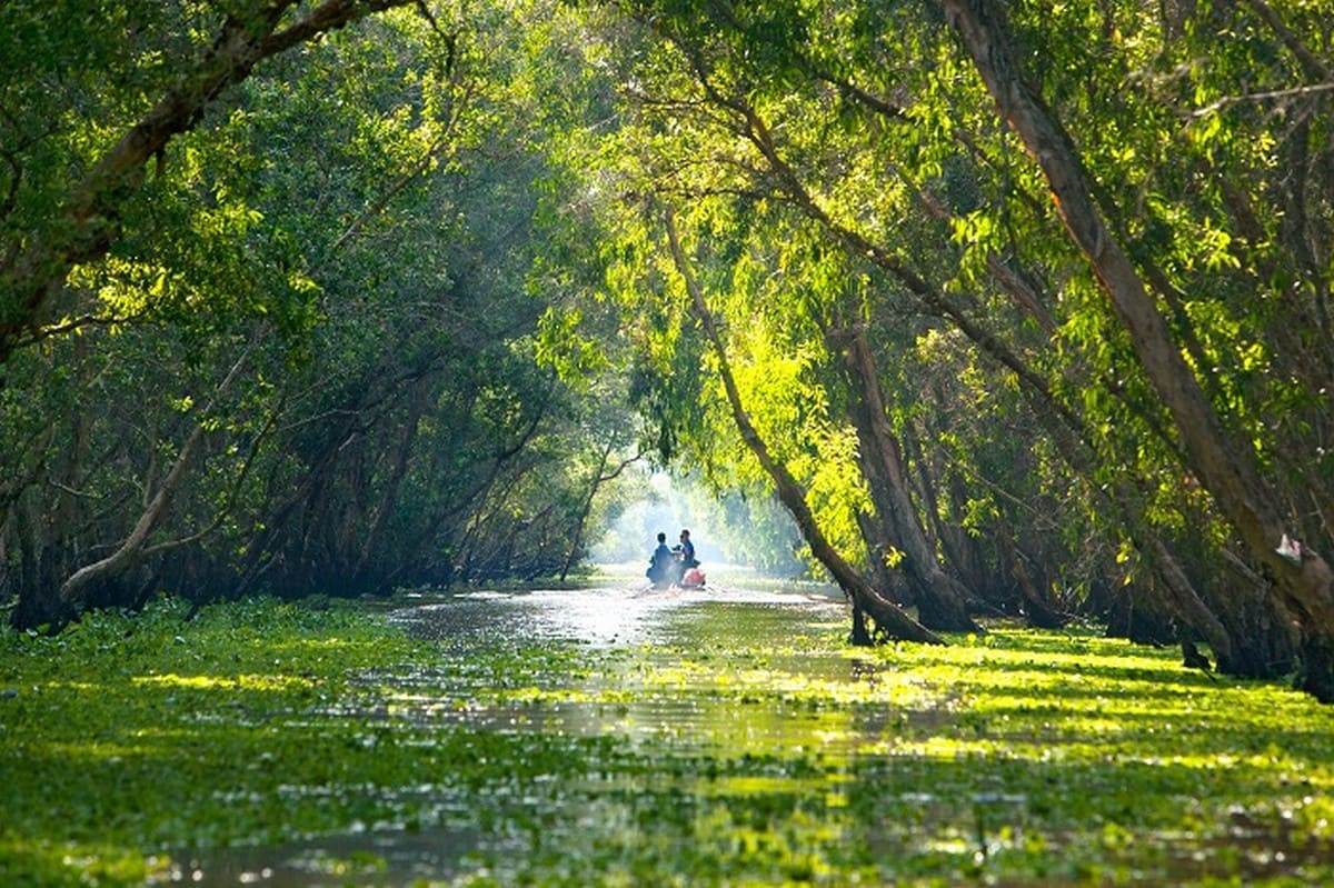 Chèo thuyền trên kênh rạch Trà Sư
