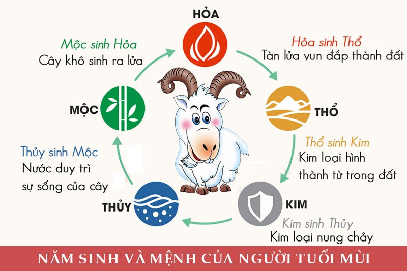 Đặc điểm người tuổi Mùi