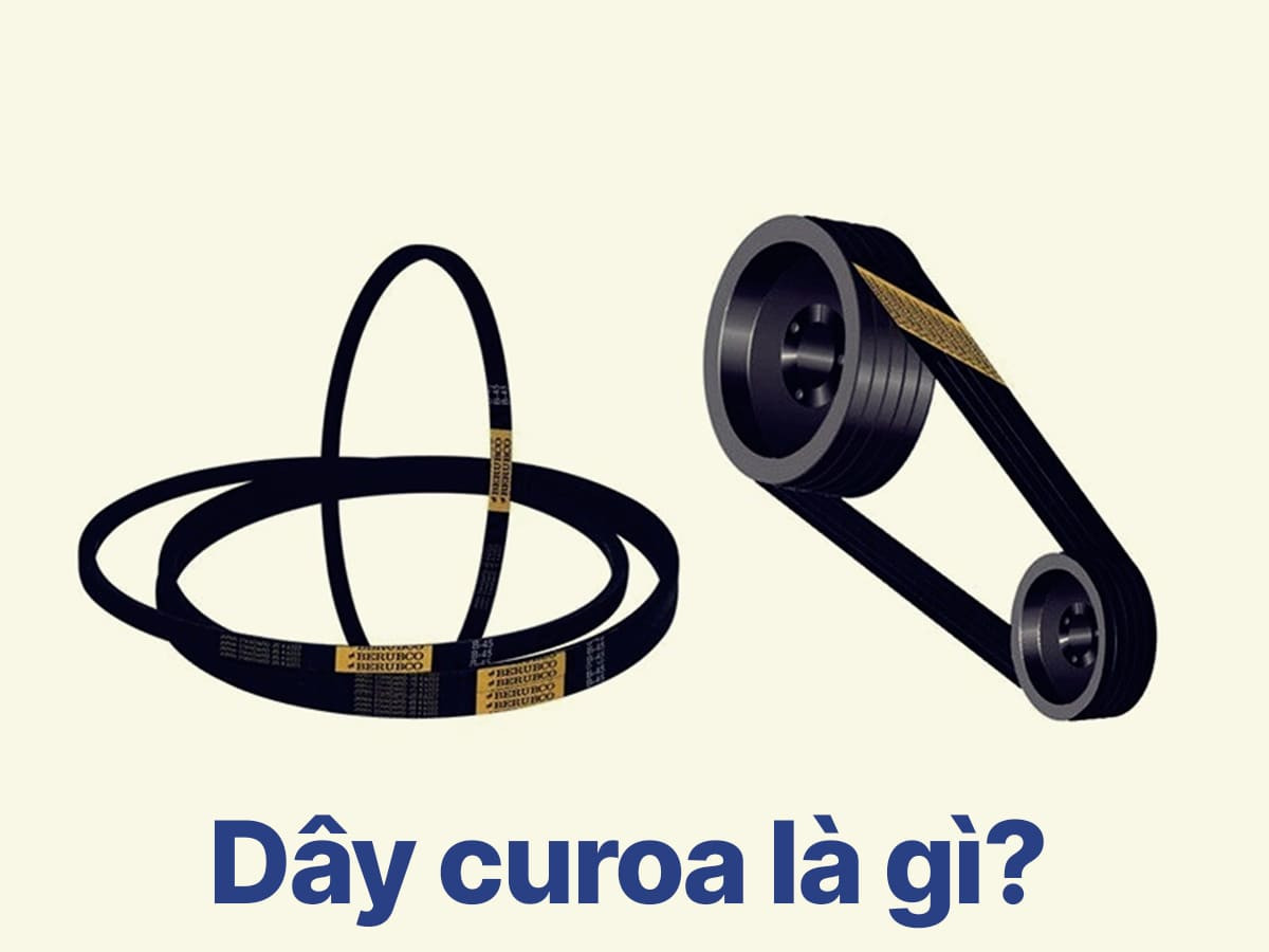 Dây curoa trên động cơ