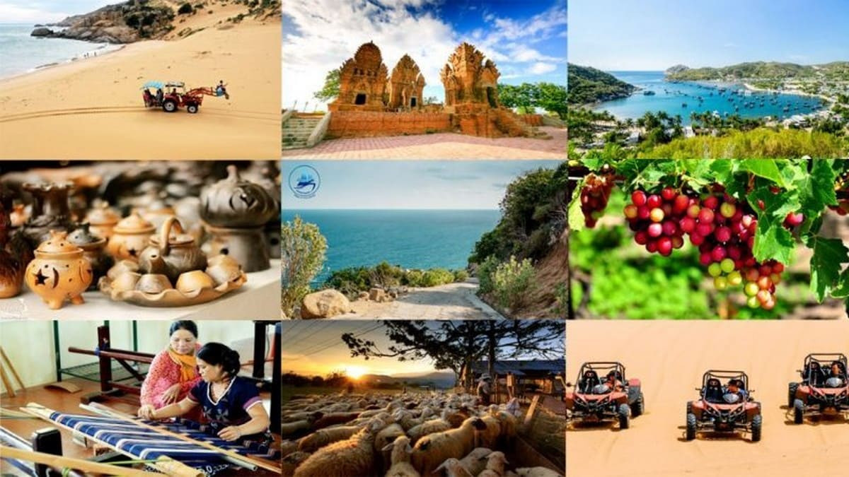 Địa điểm vui chơi tại Ninh Thuận