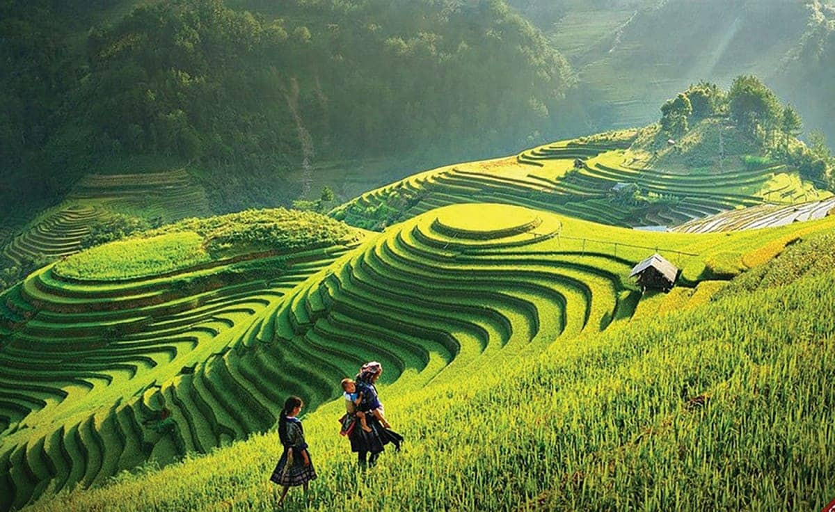 Đồi Mâm Xôi