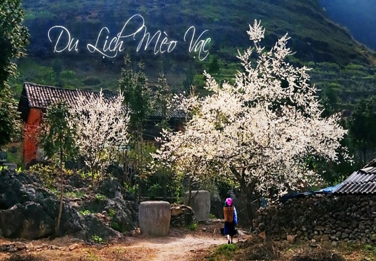 Du lịch Mèo Vạc vào tháng nào đẹp nhất?