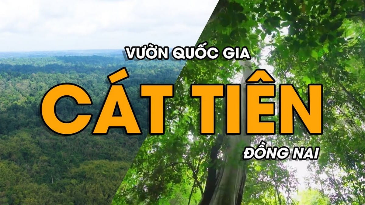 Du lịch vườn quốc gia Cát Tiên