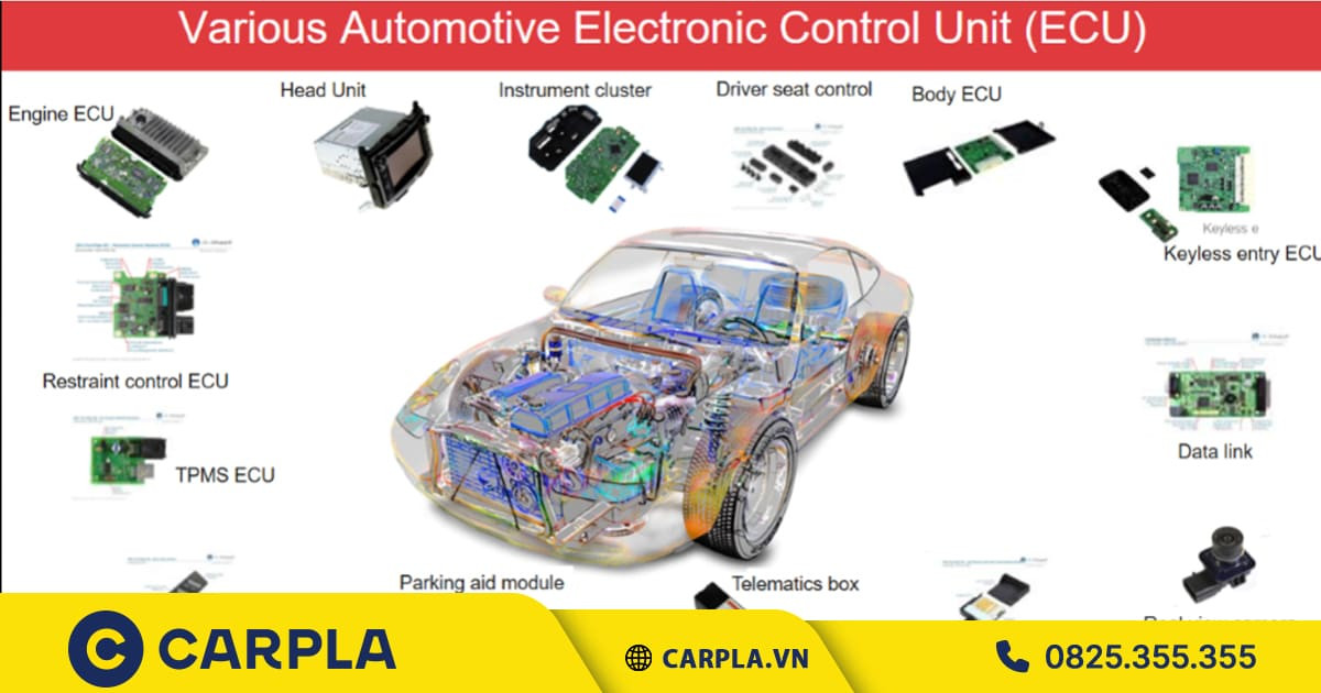 Đường truyền BUS trong ECU