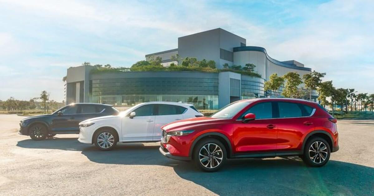 Hình ảnh so sánh SUV và CUV về kích thước và kiểu dáng