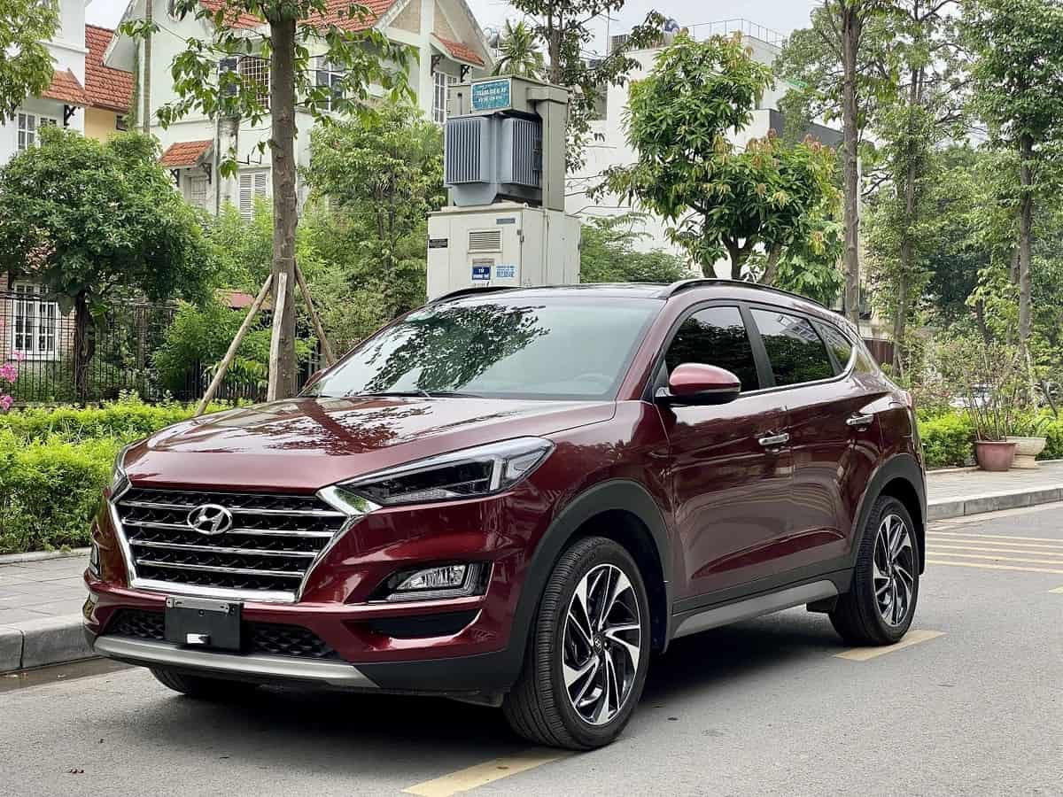 Kỷ Mùi phù hợp với các màu thuộc hành Mộc và Hỏa