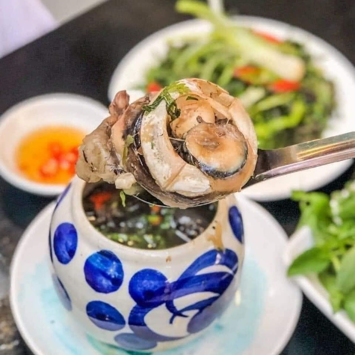 Mắt cá ngừ đại dương