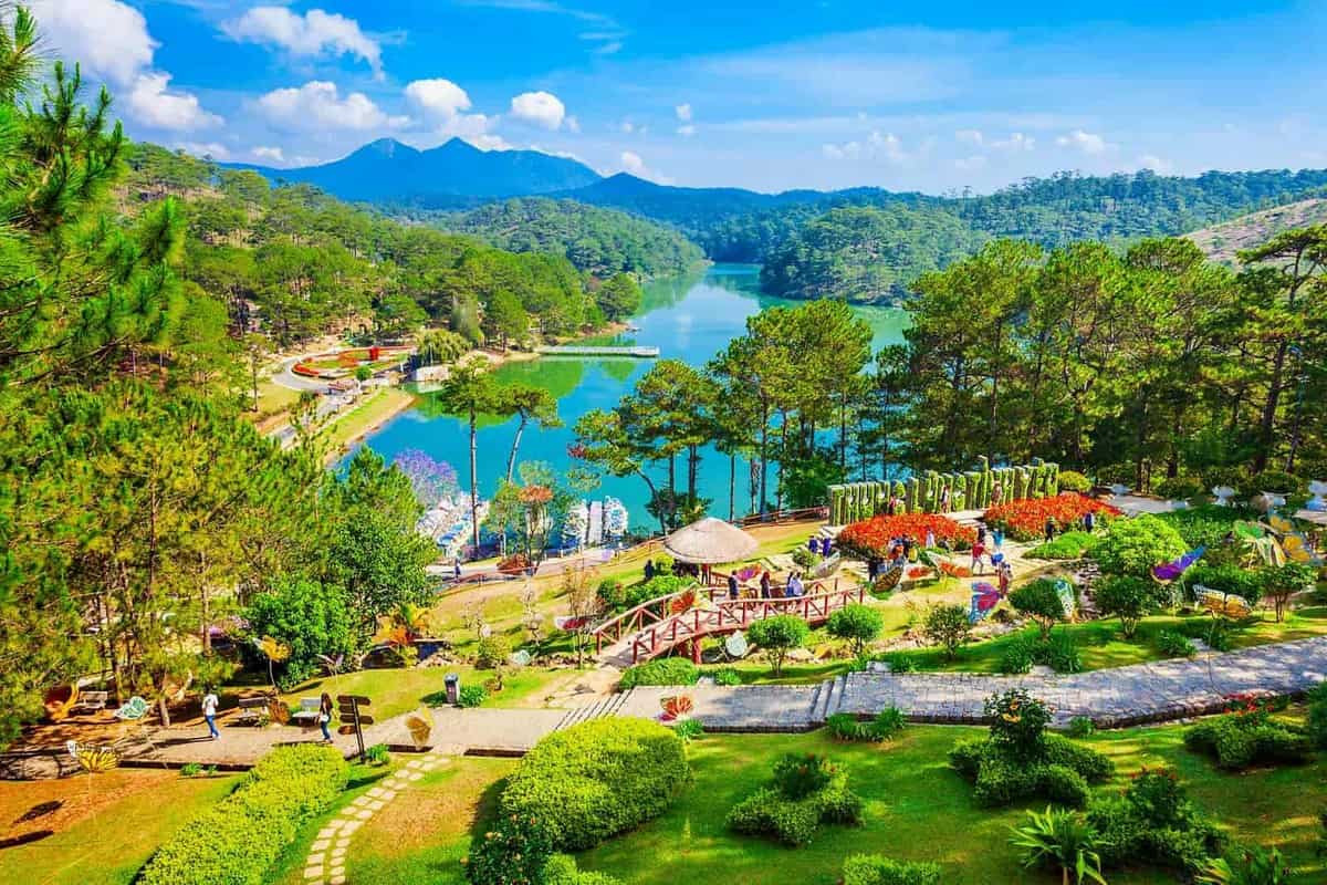 Mùa hoa mai anh đào ở Đà Lạt