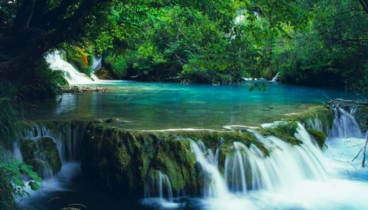 Ngũ Hồ