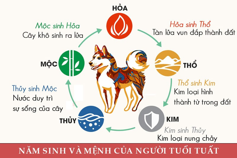 Mệnh Hỏa Hợp Màu Xe Ô Tô Gì?