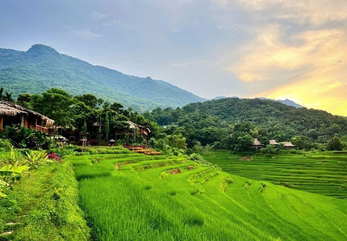 Pù Luông Tree House