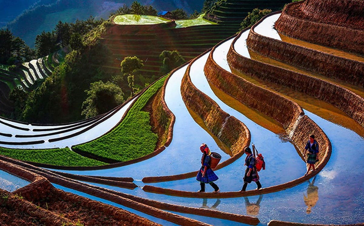 Ruộng bậc thang Mù Cang Chải
