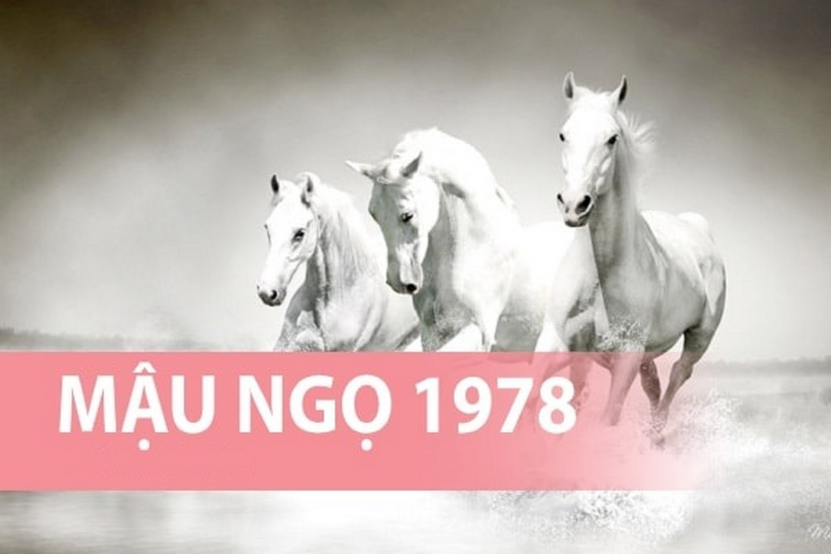 Sinh năm 1978 hợp với tuổi nào?