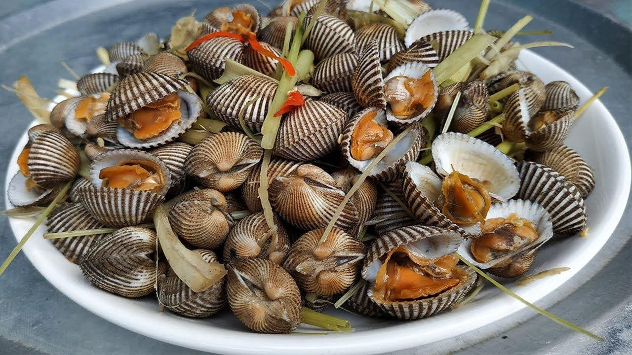 Sò huyết Đầm Ô Loan