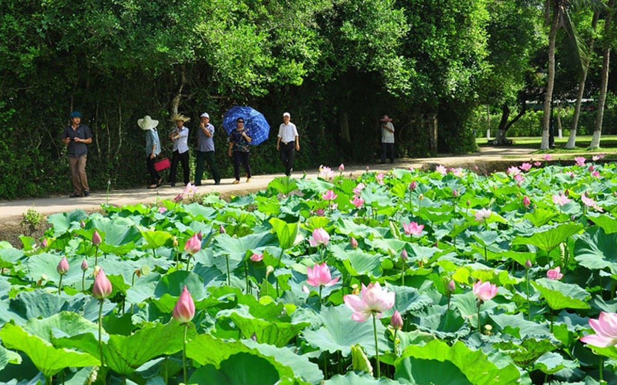 Tham quan làng Sen và Kim Liên