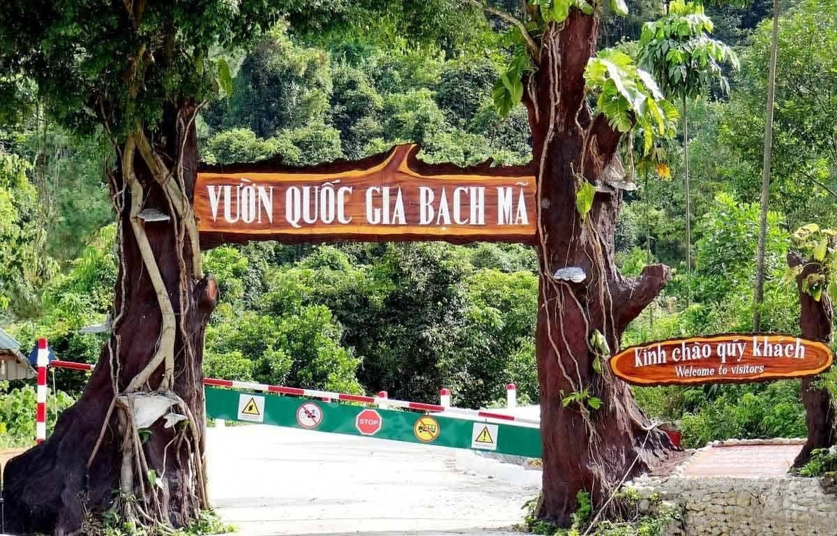 Cẩm nang du lịch đảo Phú Quý tự túc từ A đến Z