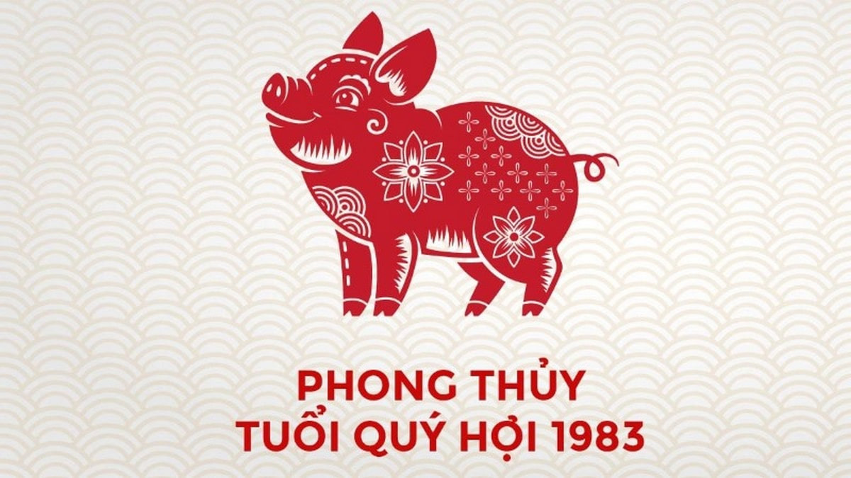 Tổng quan tử vi tuổi Quý Hợi