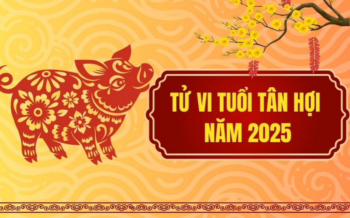 Tổng quan tuổi Tân Hợi 1971