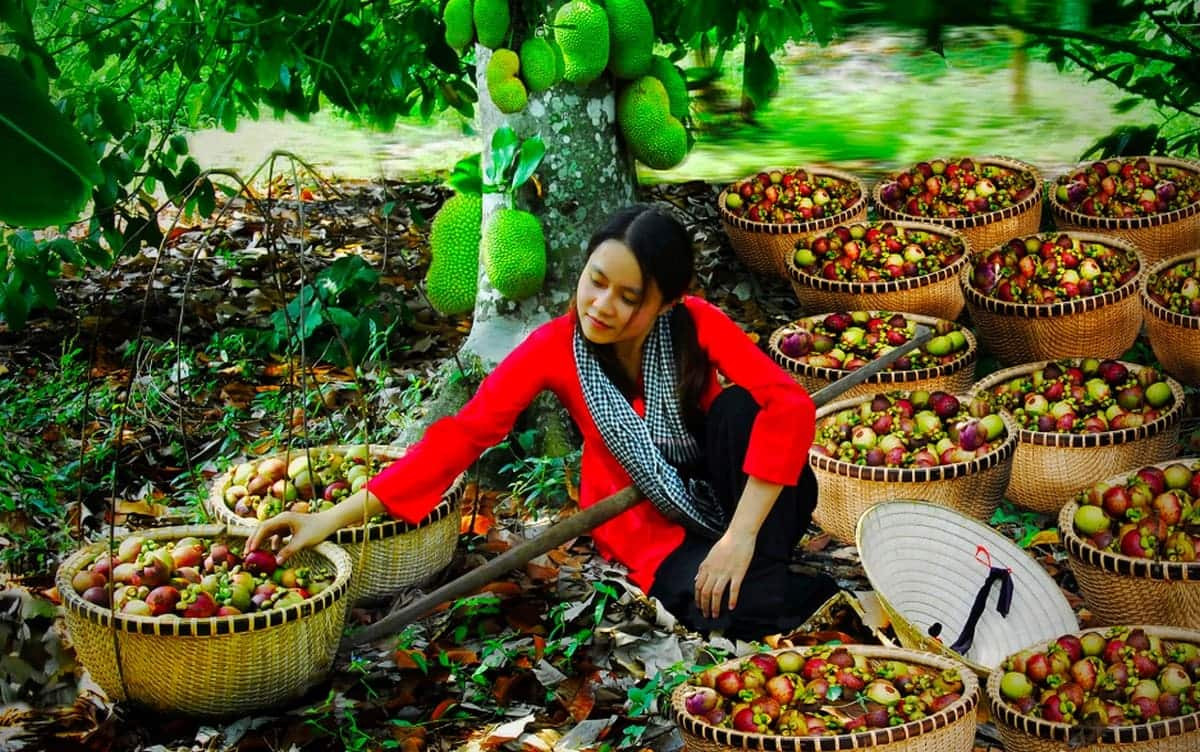 Trái cây Lái Thiêu