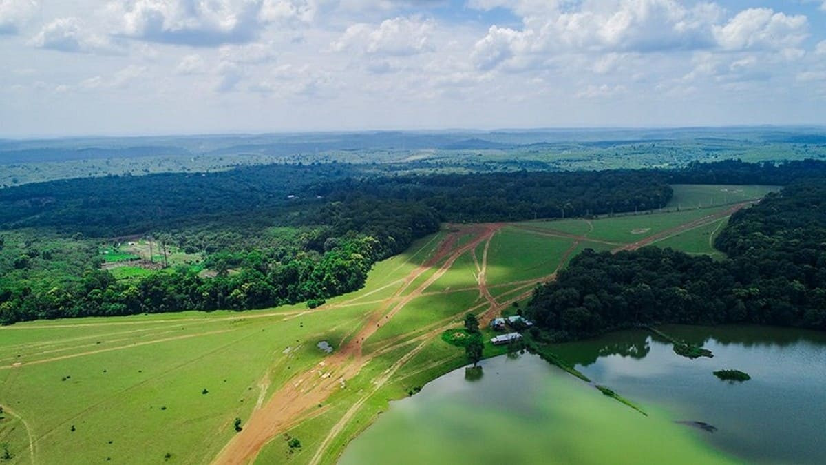 Trảng cỏ Bù Lạch