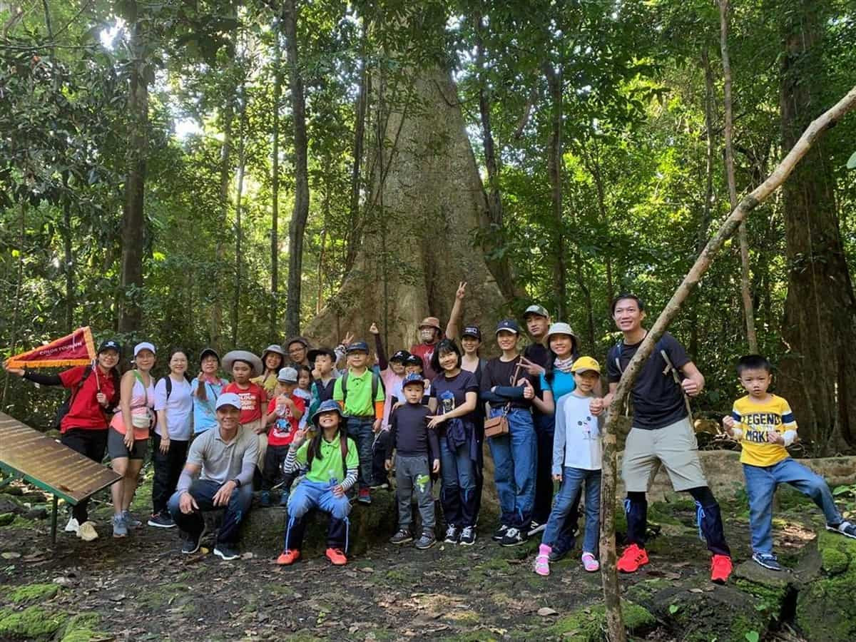 Trekking trong rừng