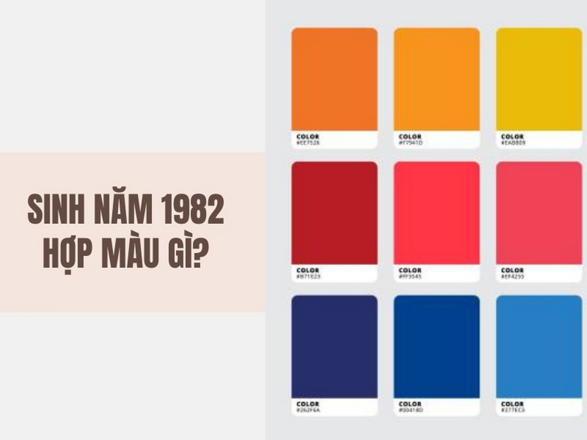 Tuổi Tuất 1982 hợp màu gì?
