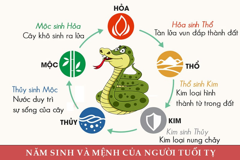 Xác định mệnh theo năm sinh của người tuổi Tý